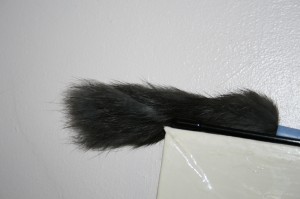 Dabird Furry Thing-4 Dabird Furry Thing-4