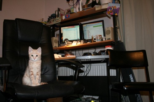 teego sits in the captains chair