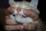 IMG_4863 IMG_4863