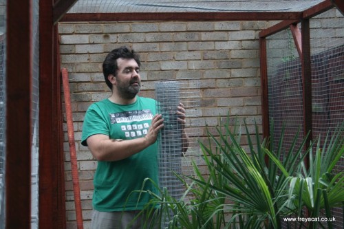 Catio building-2