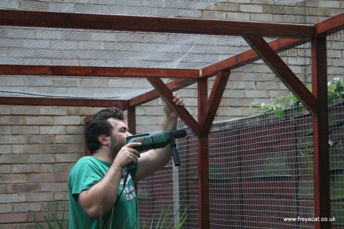 Catio building-3