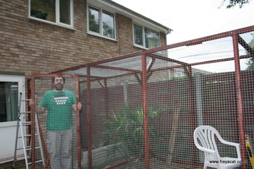 Catio building