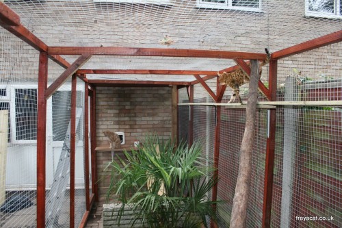 build a Catio furniture-9