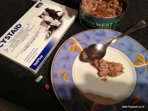 hiding cat pills in tuna-1